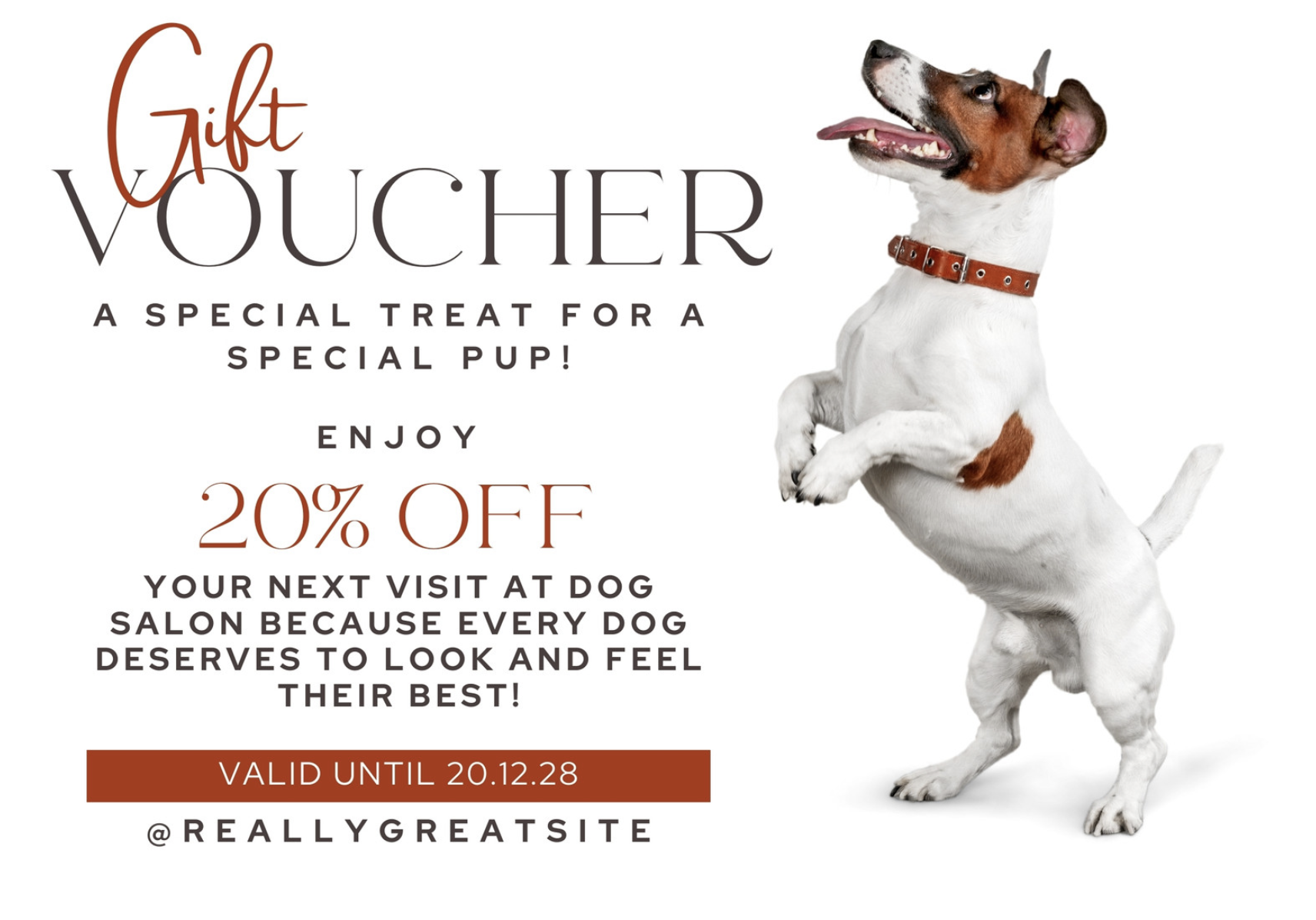 Dog salon gift voucher design